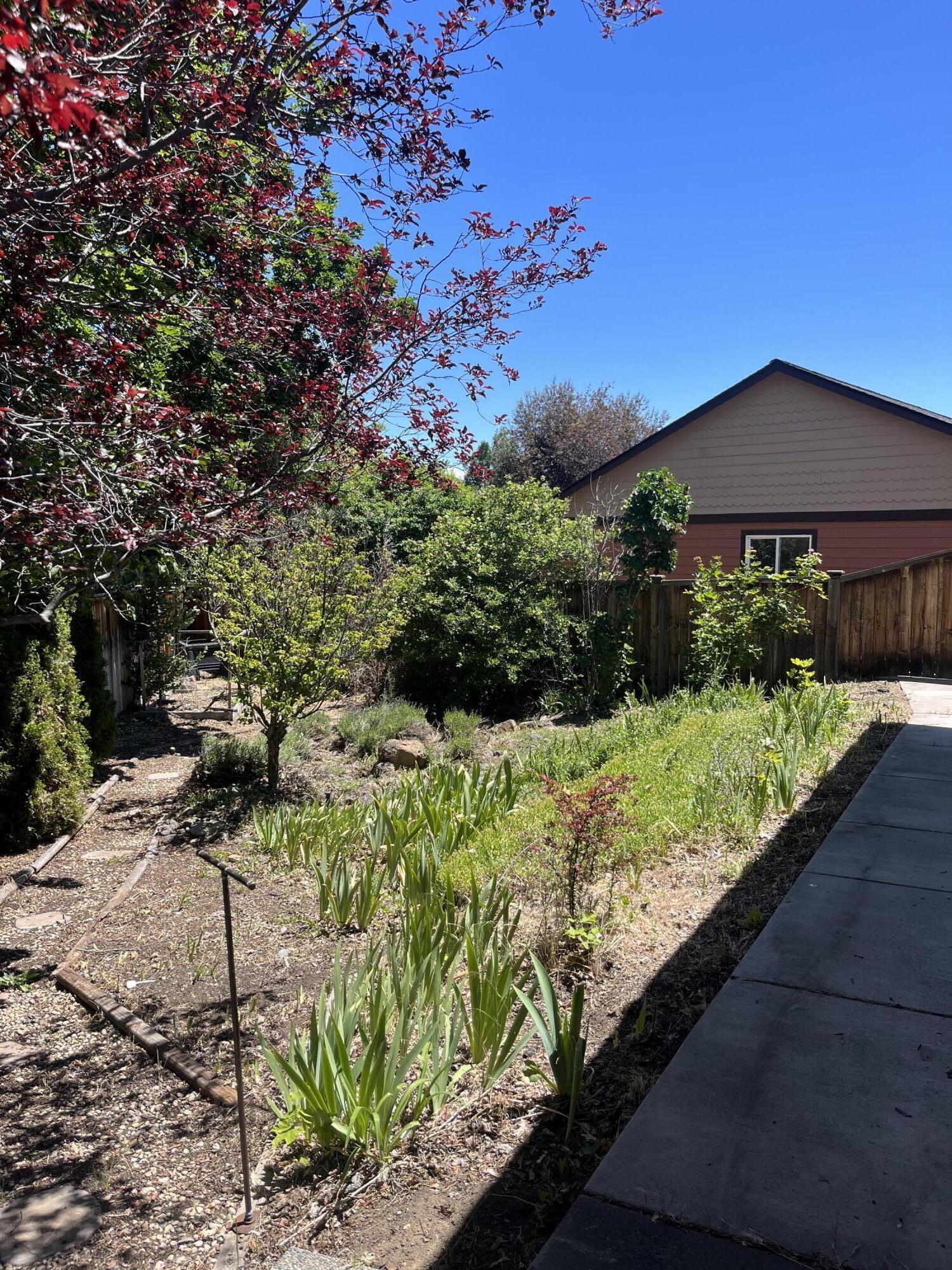 Phoenix Park - Residential