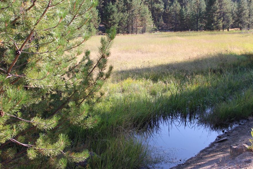 1252 Deeded acres Plus USFS permit for 235 pair 6/1 thru 10/15. 3 spring fed streams for approx. 750 irrigated acres. 2 room plus loft Cowboy Cabin, also includes a 2018 ''Attitude'' 39' toy Hauler/Camp Trailer set-up w/generator, solar power.  Private deeded grazing, ease of operations with corrals at South end as well as at North end, 20,000 lbs pit scale. Wildlife, Natural Creeks, living quarters, BEAUTY!!