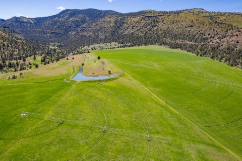 Tiny photo for 40252 Rudio Road, Kimberly, OR 97848 (MLS # 220221796)