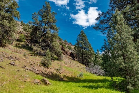 Tiny photo for 40252 Rudio Road, Kimberly, OR 97848 (MLS # 220221796)