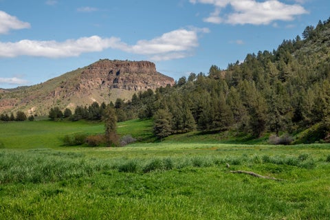 Tiny photo for 40252 Rudio Road, Kimberly, OR 97848 (MLS # 220221796)