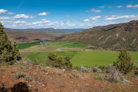 Photo of 40252 Rudio Road, Kimberly, OR 97848 (MLS # 220221796)
