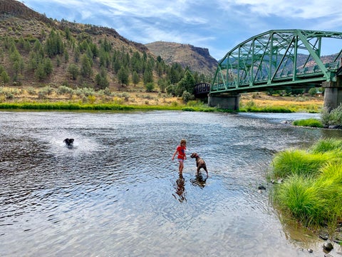 Tiny photo for 40252 Rudio Road, Kimberly, OR 97848 (MLS # 220221796)