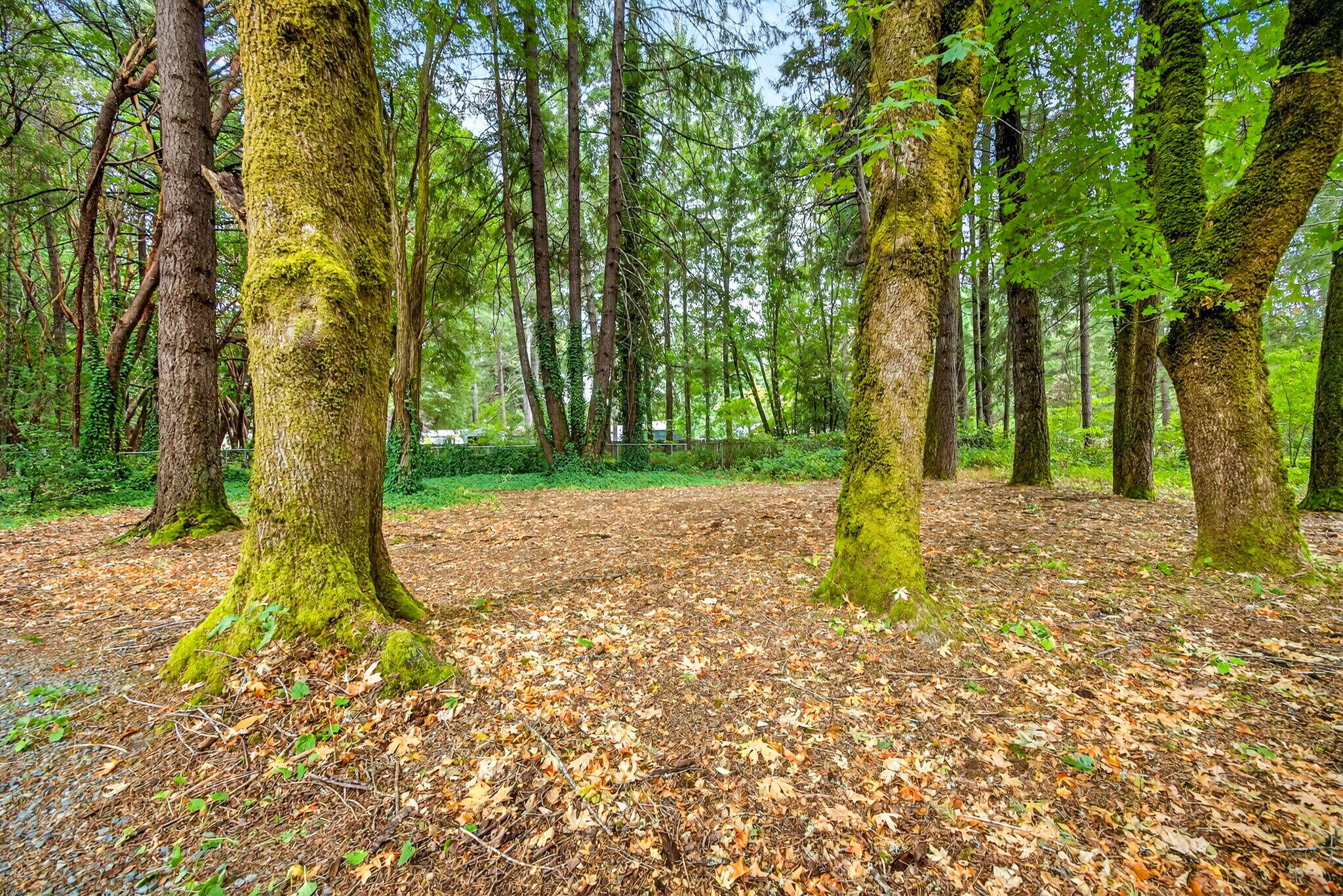 Pine Knolls Subdivision - Residential