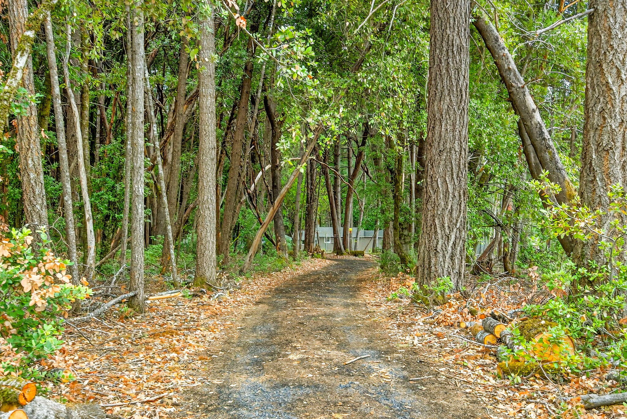 Pine Knolls Subdivision - Residential