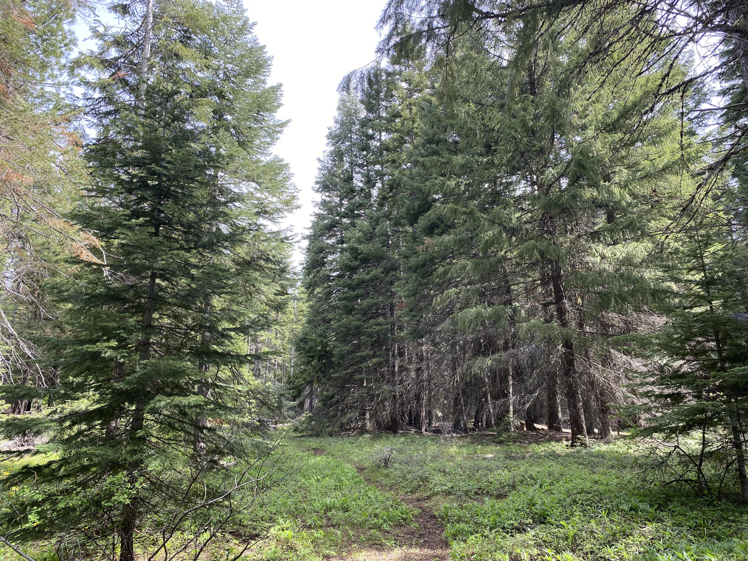 Klamath -West - Land