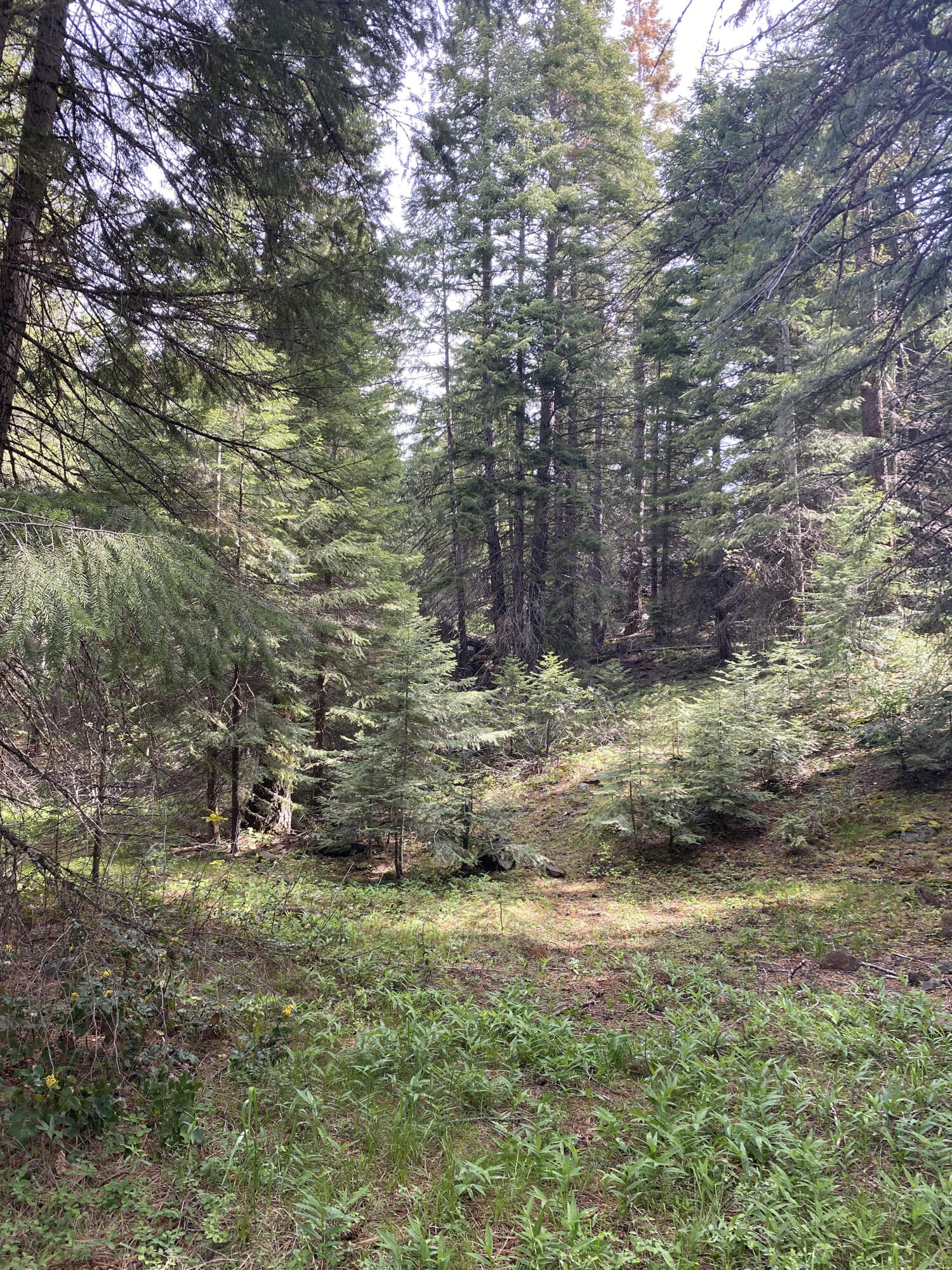 Klamath -West - Land