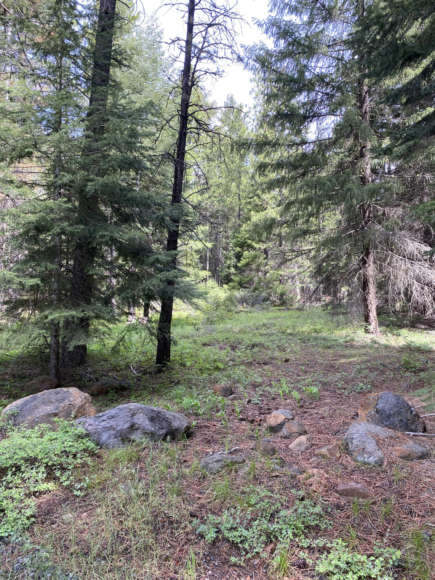 Klamath -West - Land