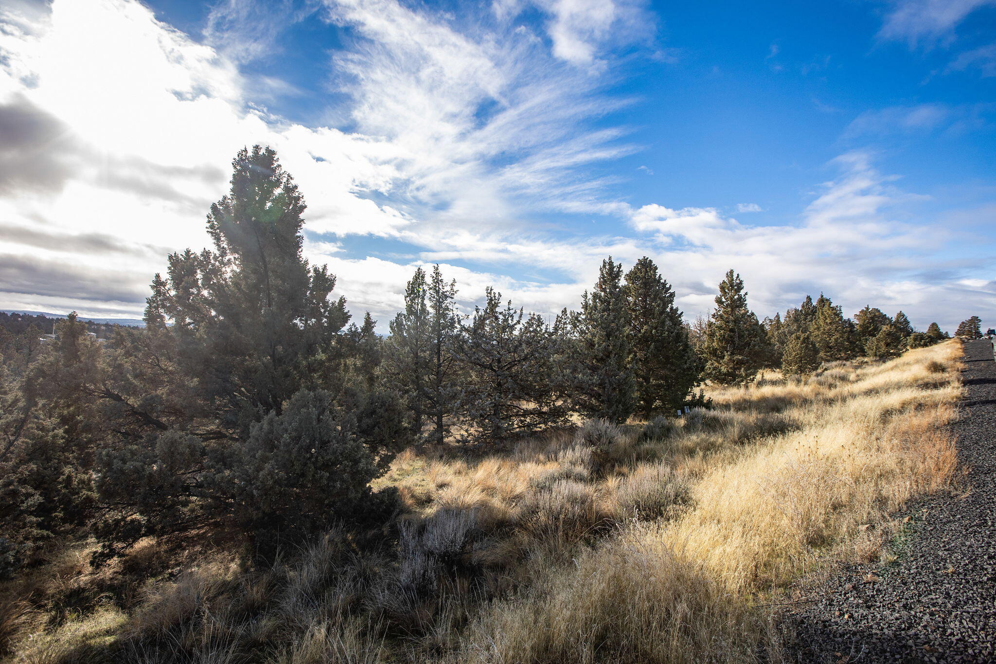 2298 SE Texas Circle Lot 49