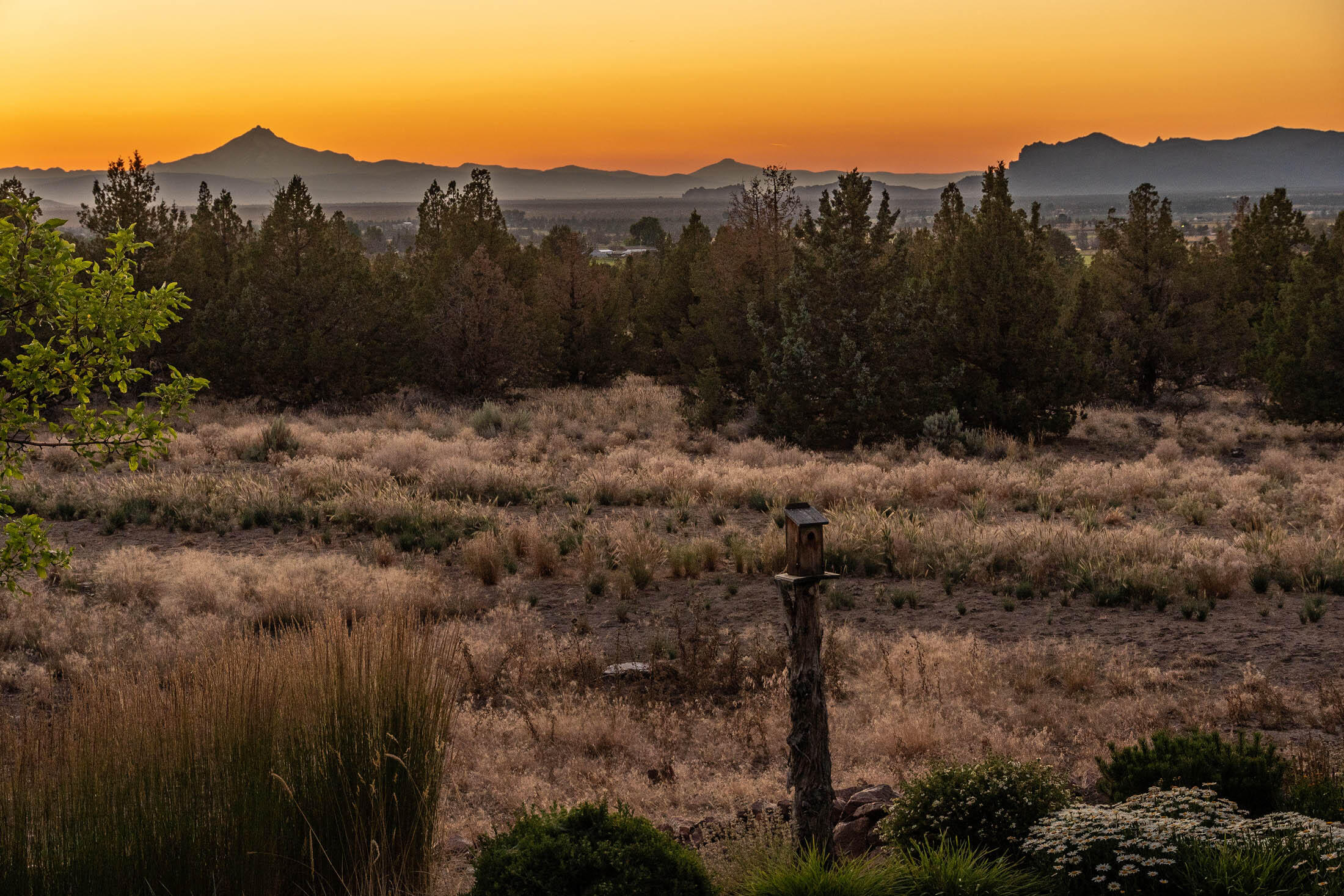 Mtn View Estate - Residential