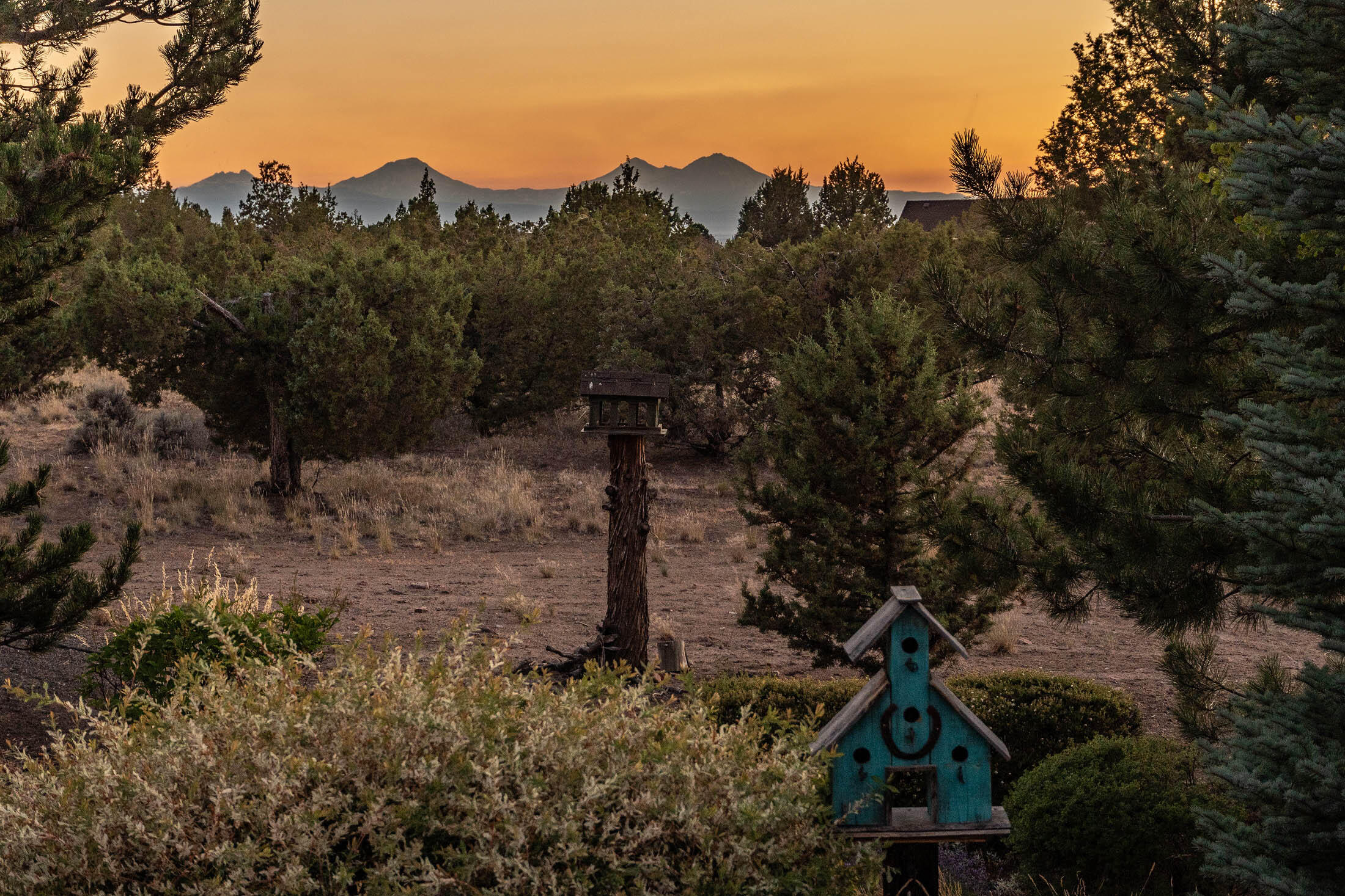 Mtn View Estate - Residential