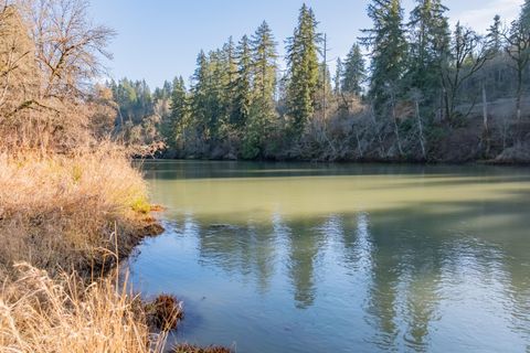 Tiny photo for 27914 Walkerwood Lane, Sweet Home, OR 97386 (MLS # 220214368)