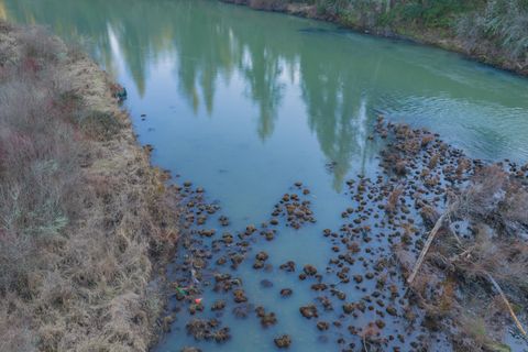 Tiny photo for 27914 Walkerwood Lane, Sweet Home, OR 97386 (MLS # 220214368)