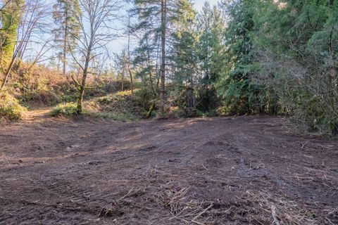 Tiny photo for 27914 Walkerwood Lane, Sweet Home, OR 97386 (MLS # 220214368)