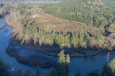 Photo of 27914 Walkerwood Lane, Sweet Home, OR 97386 (MLS # 220214368)