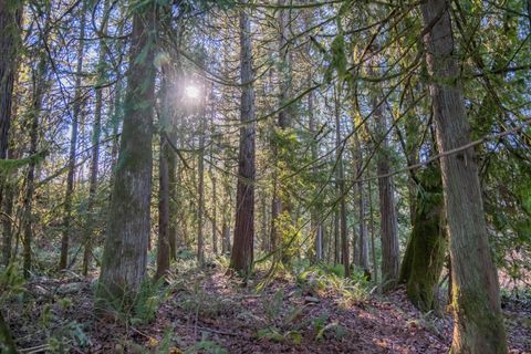 Tiny photo for 27914 Walkerwood Lane, Sweet Home, OR 97386 (MLS # 220214368)