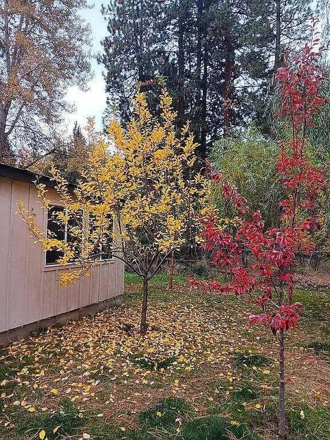 Tiny photo for 133 E Black Crater Avenue, Sisters, OR 97759 (MLS # 220212878)