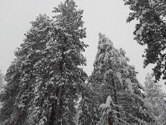 Loe Bros - Residential