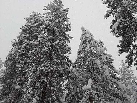 Tiny photo for 133 E Black Crater Avenue, Sisters, OR 97759 (MLS # 220212878)