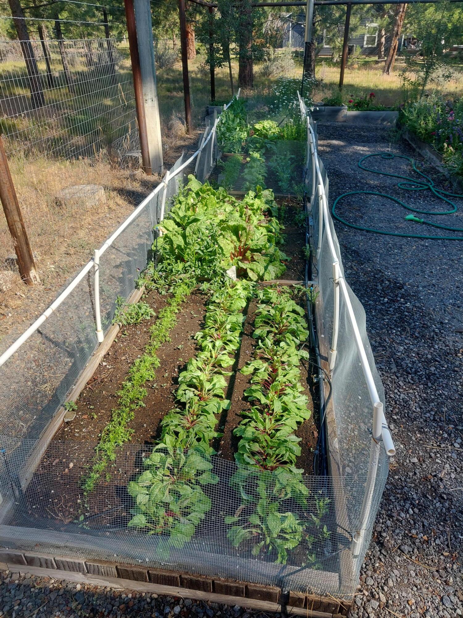 Woodside Ranch - Residential