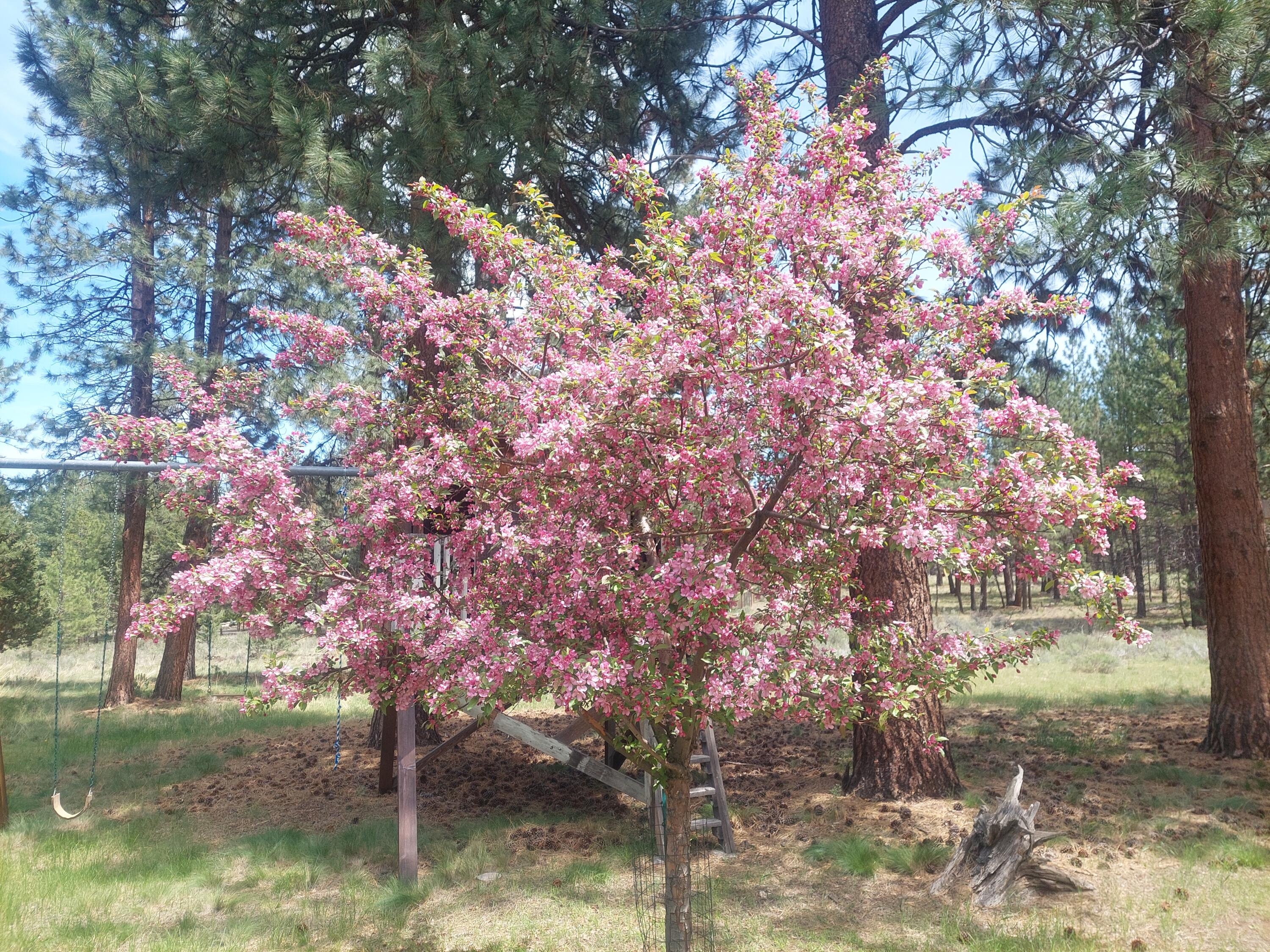 Woodside Ranch - Residential