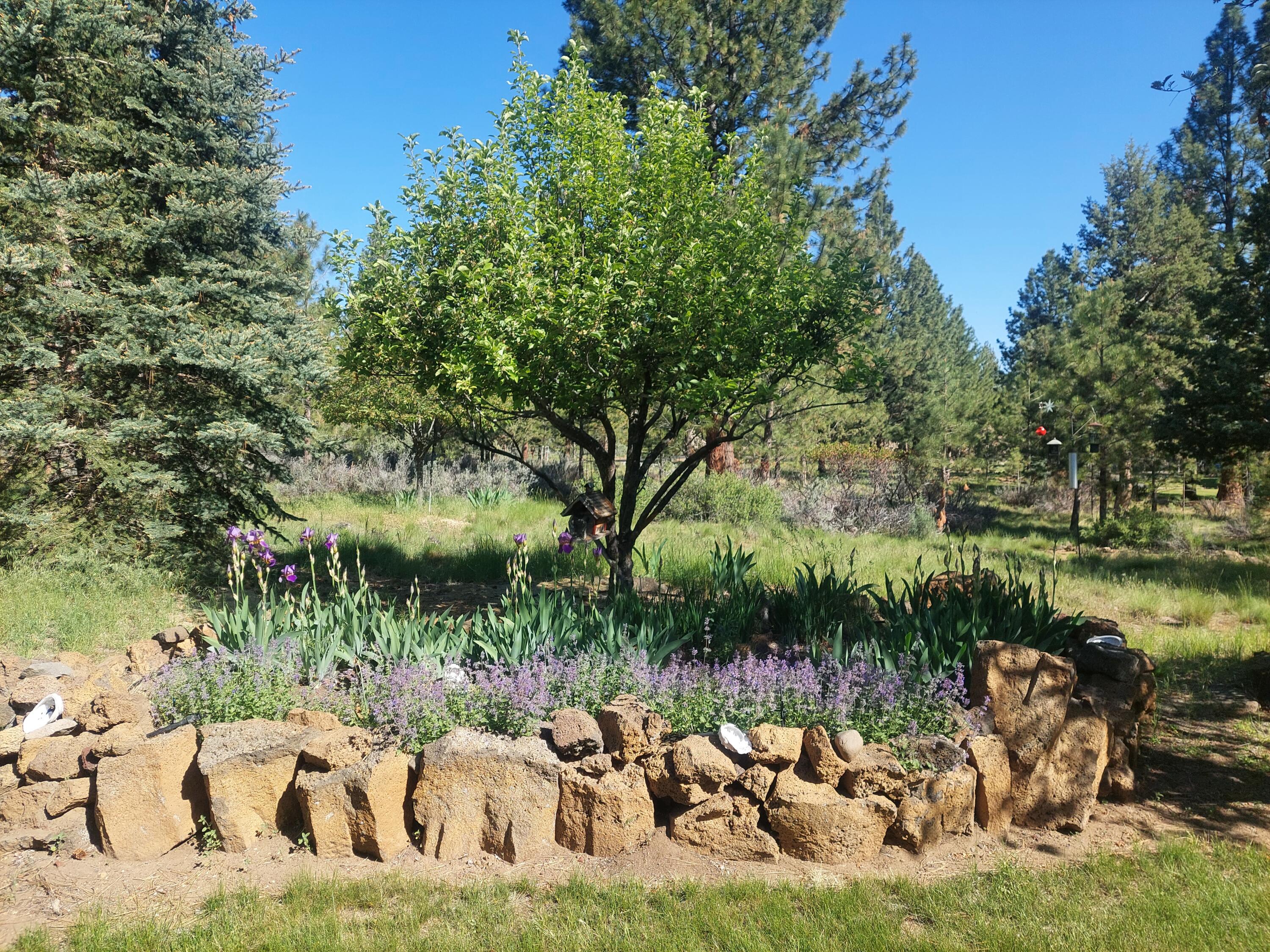 Woodside Ranch - Residential