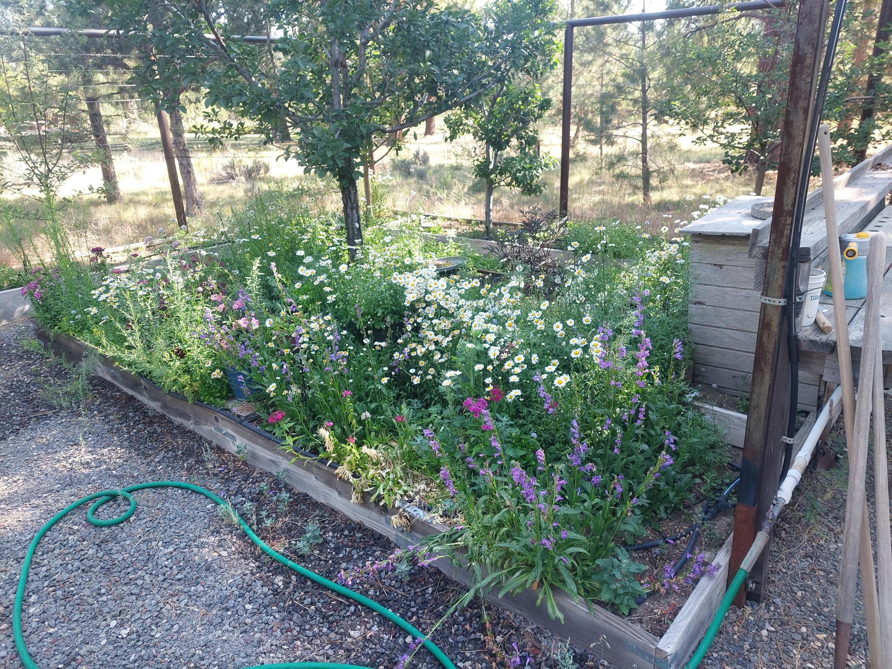 Woodside Ranch - Residential