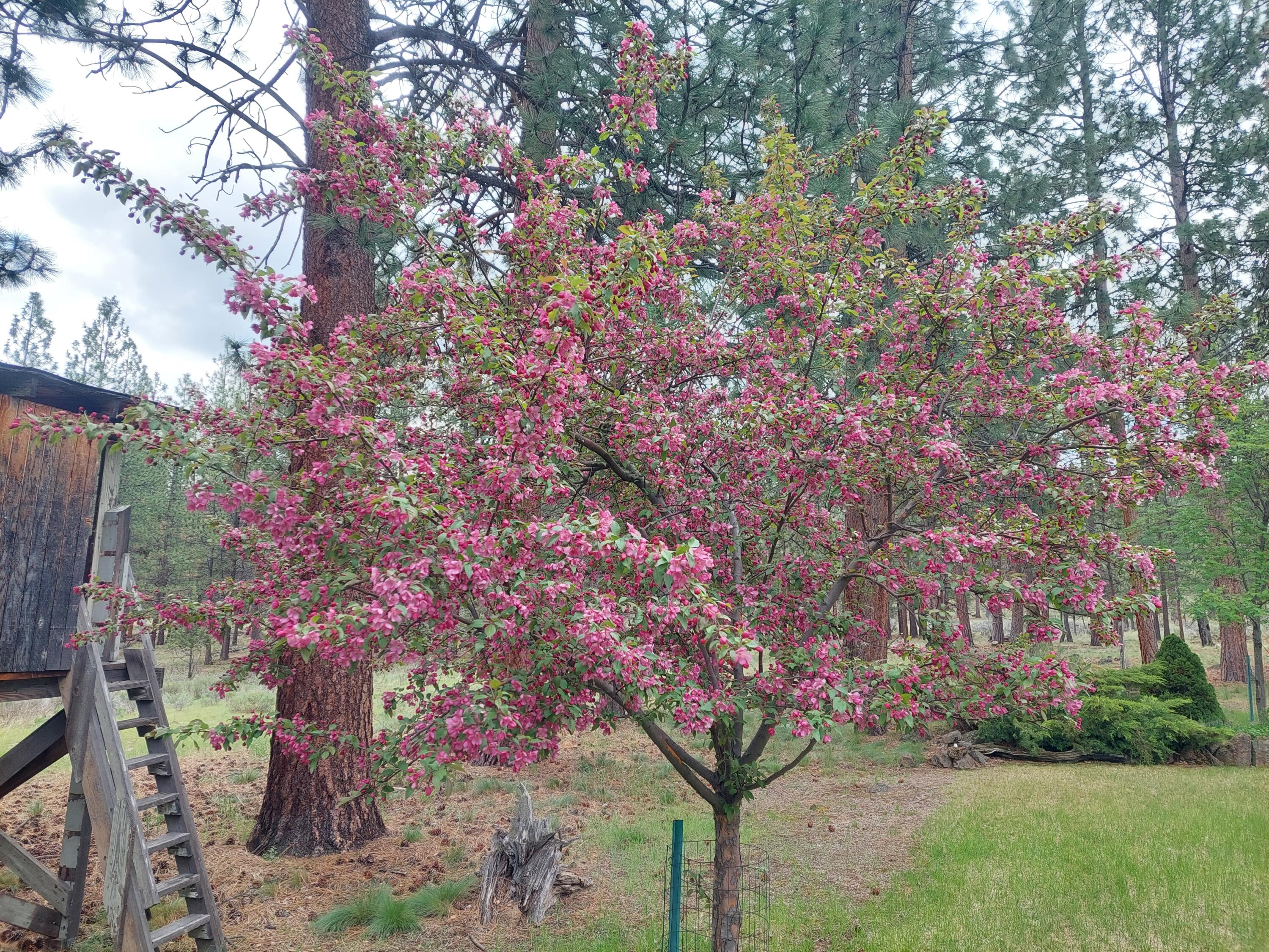 Woodside Ranch - Residential