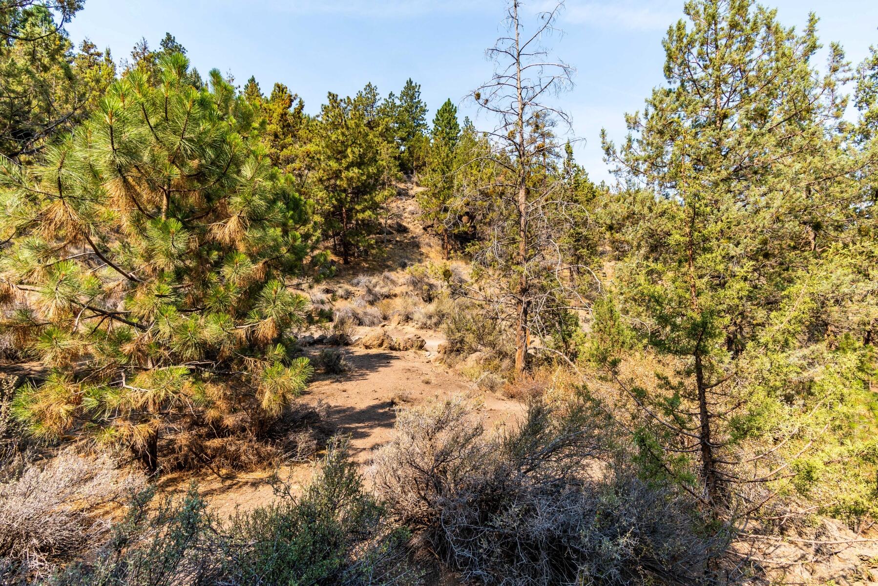 North Pilot Butte - Residential