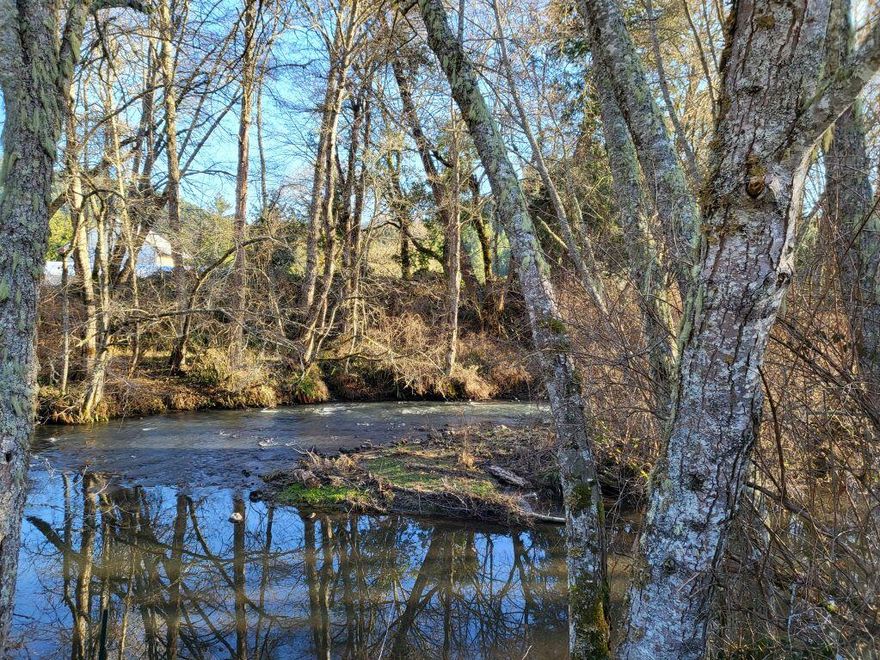 Gorgeous views & sounds of year-round Upper Cow Creek will captivate you on this 3.35-acre mini farm. Almost 700 feet of creek frontage!! Per seller 20 gpm well & 4-bedroom septic system already installed. Has prior Homesite Permit, check with Douglas County as to details on renewing. Live in the Comfortable Tiny House with large bathroom, laundry room and loft, while you build your Dream Home. 2000 gallon holding tank installed near good-sized shop, which has lots of storage and a loft. Power also goes to the shop and greenhouse. Nice vegetable garden area with plenty of sunshine! Yard is partially fenced but can be completed easily to keep your critters in and safe. Only 30 minutes from Grants Pass or 40 from Roseburg, not far off of I-5. Beautiful Galesville Reservoir, local Trails and old growth Forests are only minutes away.  Oh, and bring the Chickens! This is a must see!!!
