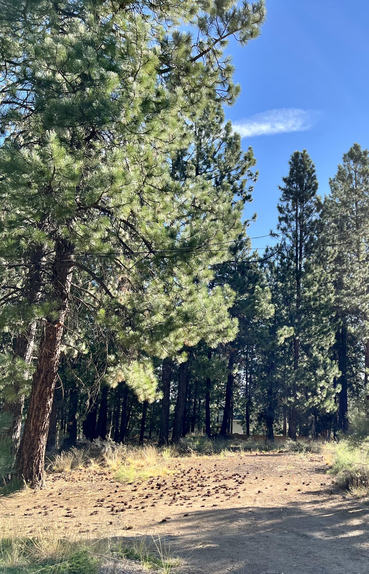 Deschutes RiverWoods - Residential