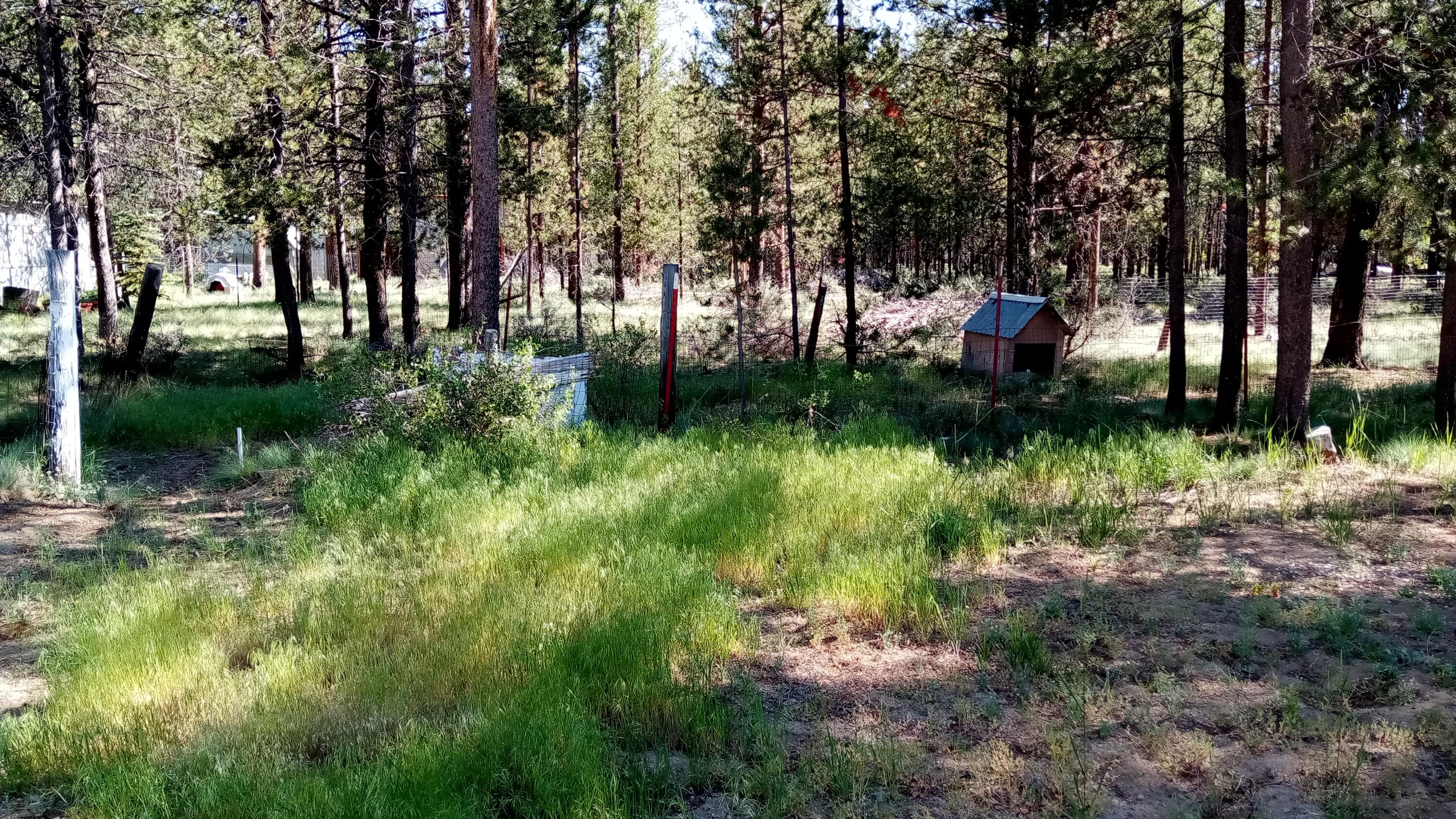 Woodland Park - Residential