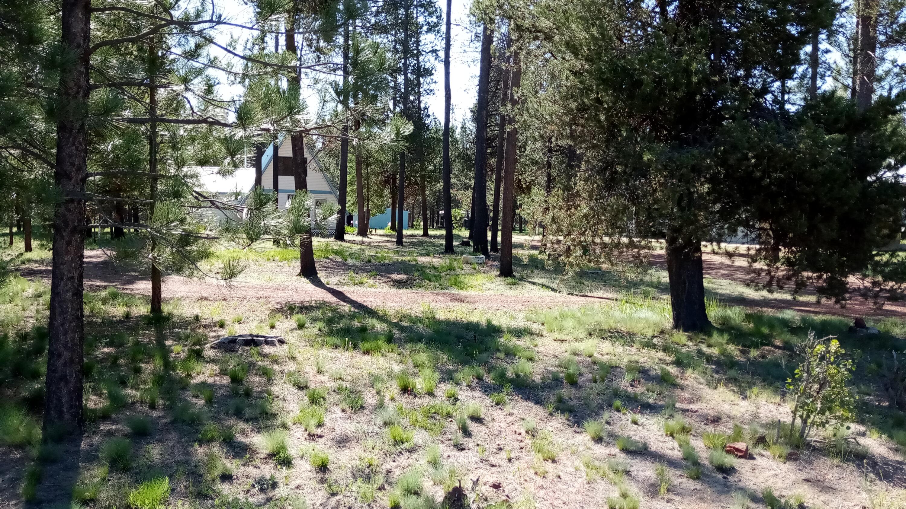 Woodland Park - Residential