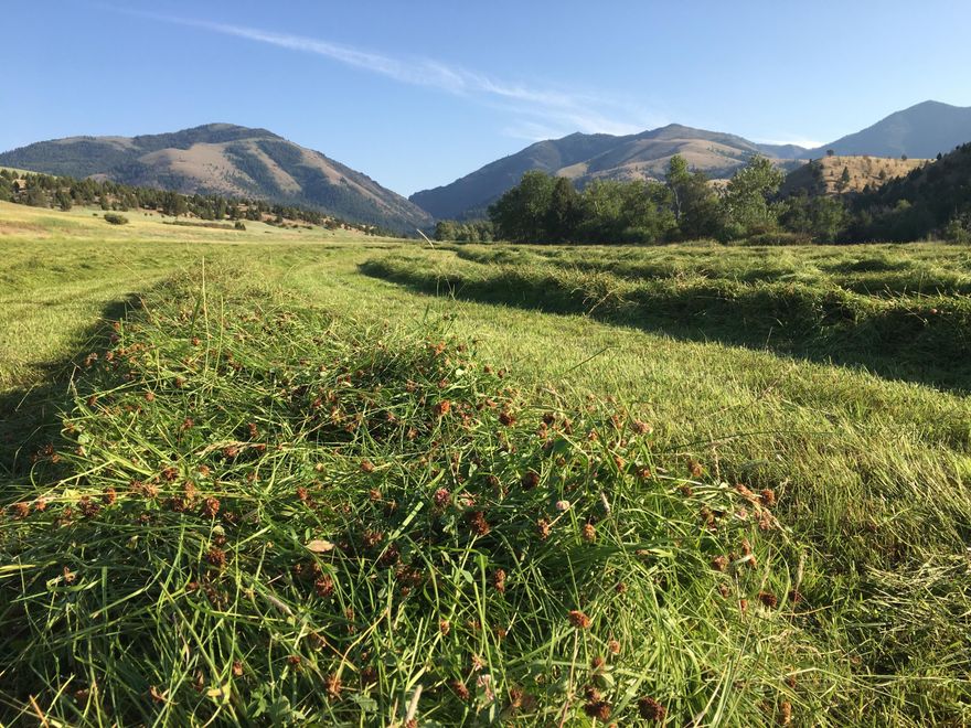 Absolutely stunning 2184 acre ranch located in the shadow of the Aldrich Mountain Range. The Riley Creek Ranch boasts all of Eastern Oregon's finest. Incredible hunting property with many pictures to PROVE it! Elk, mule deer, black bear, mountain lion, bobcat, chukar, quail, and antelope. If you like to horn hunt, this ranch offers prime winter range for deer and elk. Thousands of dollars of sheds are gathered annually. The ranch has 3 new pivots and multiple wheelines. In addition to the 255 acres of water rights with FREE water there is a brand new well that may be the highest volume producing well in Grant County. The well produces 1,100 gallons per minute and is used for supplemental late season irrigation. The ranch backs up to the Malheur Nat'l. Forest with private access to thousands and thousands of acres of primitive and pristine country. Riley Creek runs through the ranch for over 2 miles and provides abundant amounts of water.