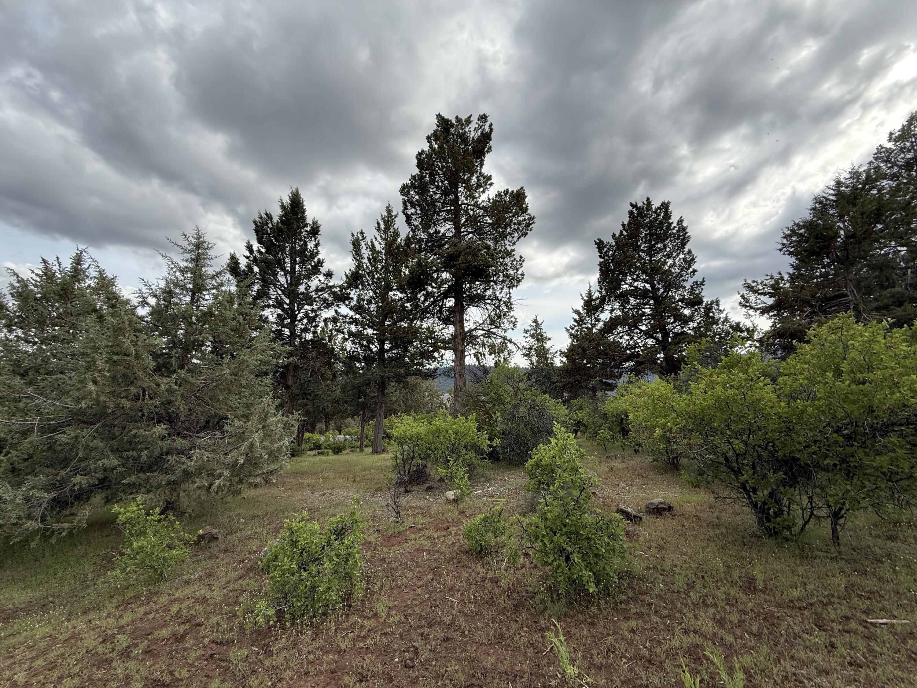 Running YResort - Land