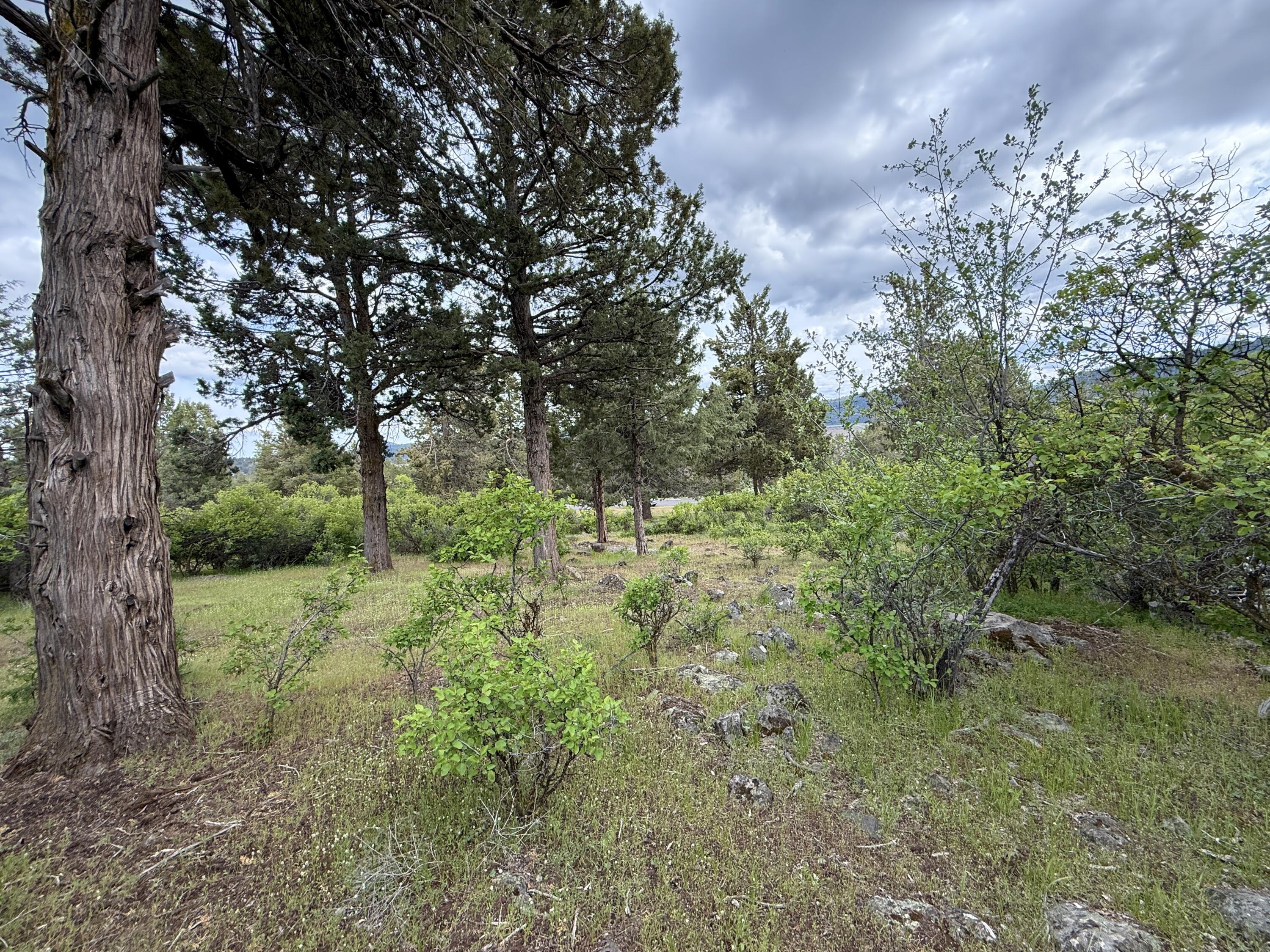 Running YResort - Land