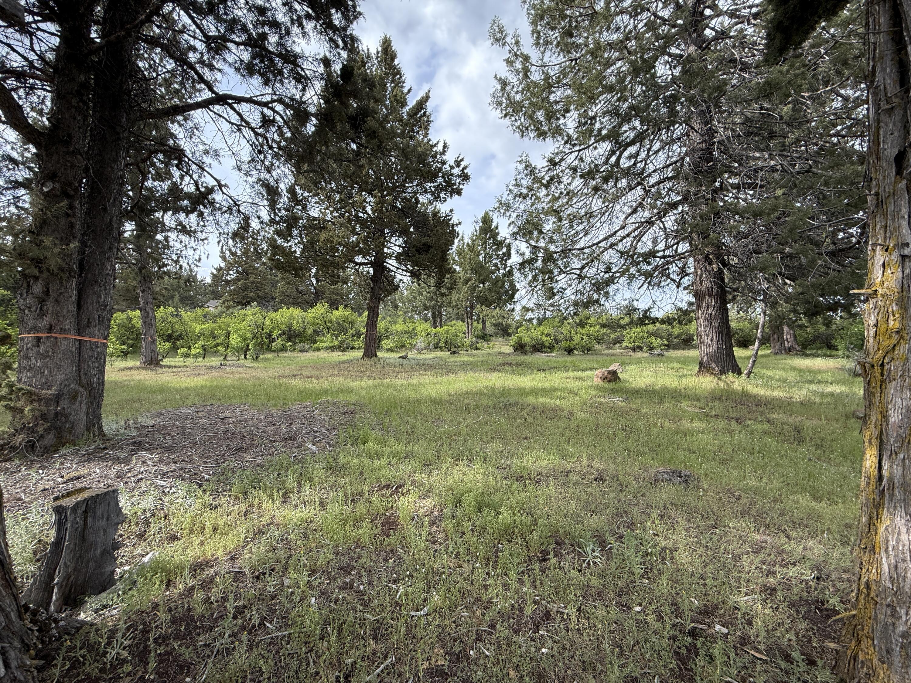 Running YResort - Land