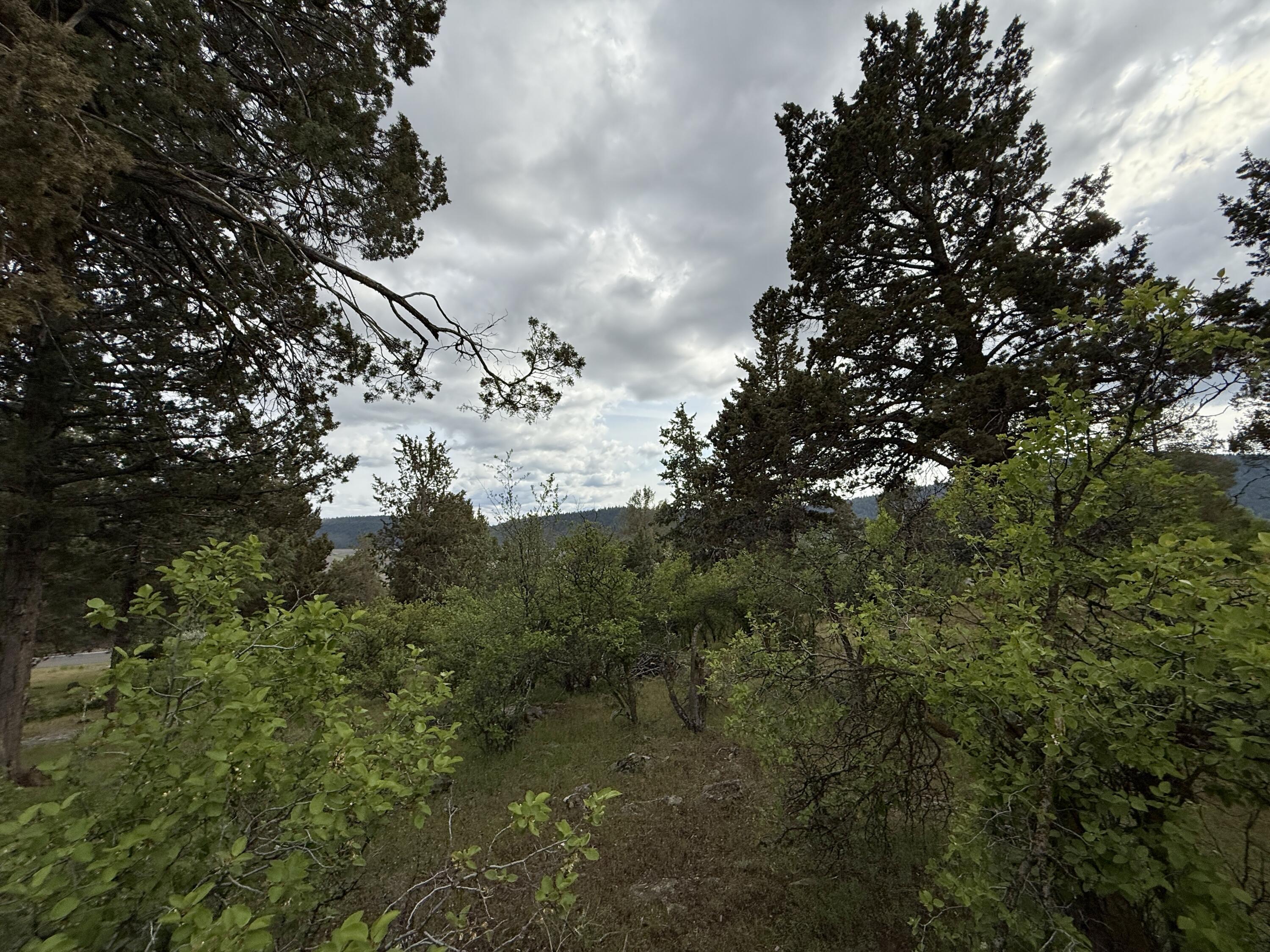 Running YResort - Land