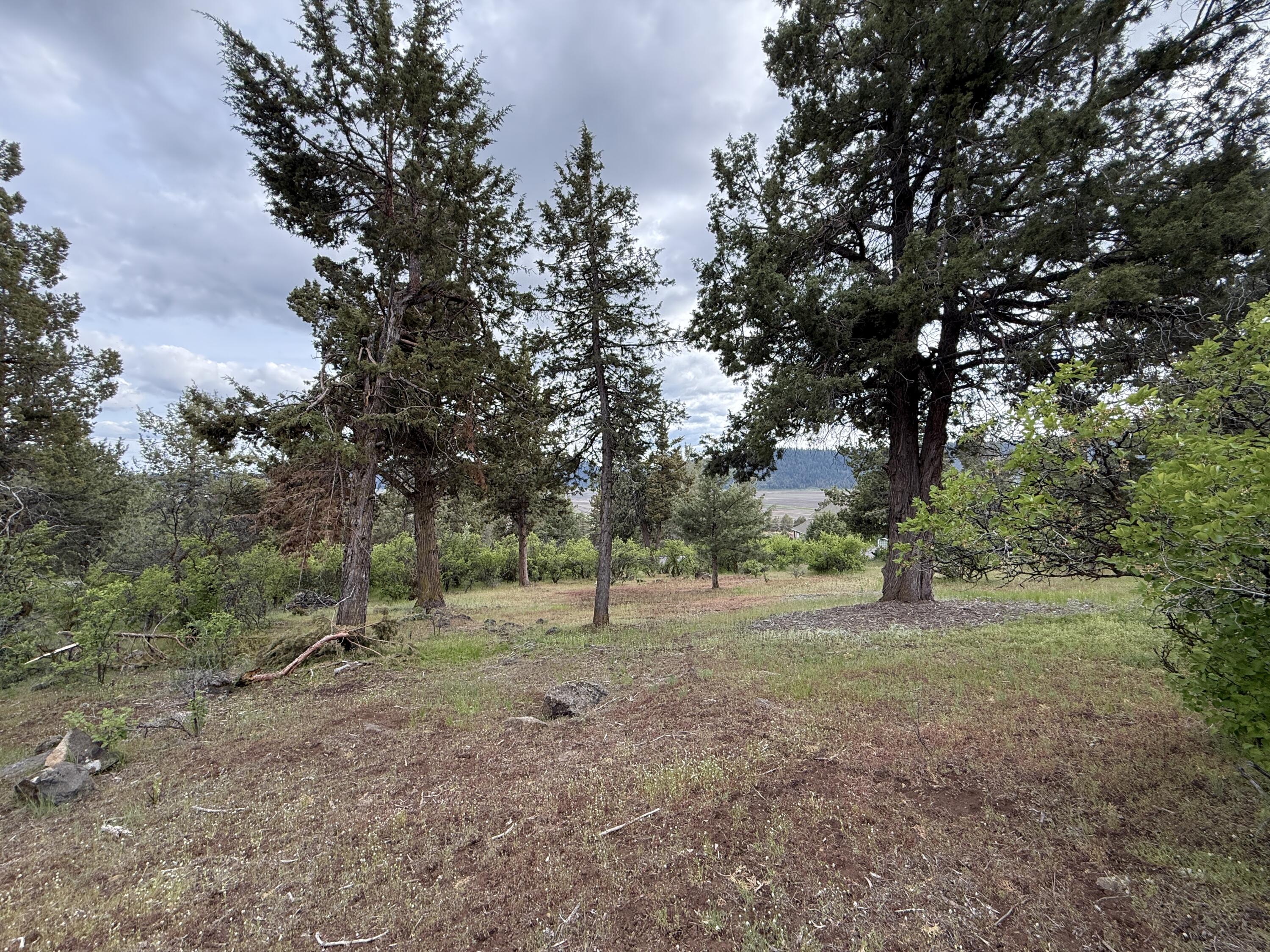 Running YResort - Land