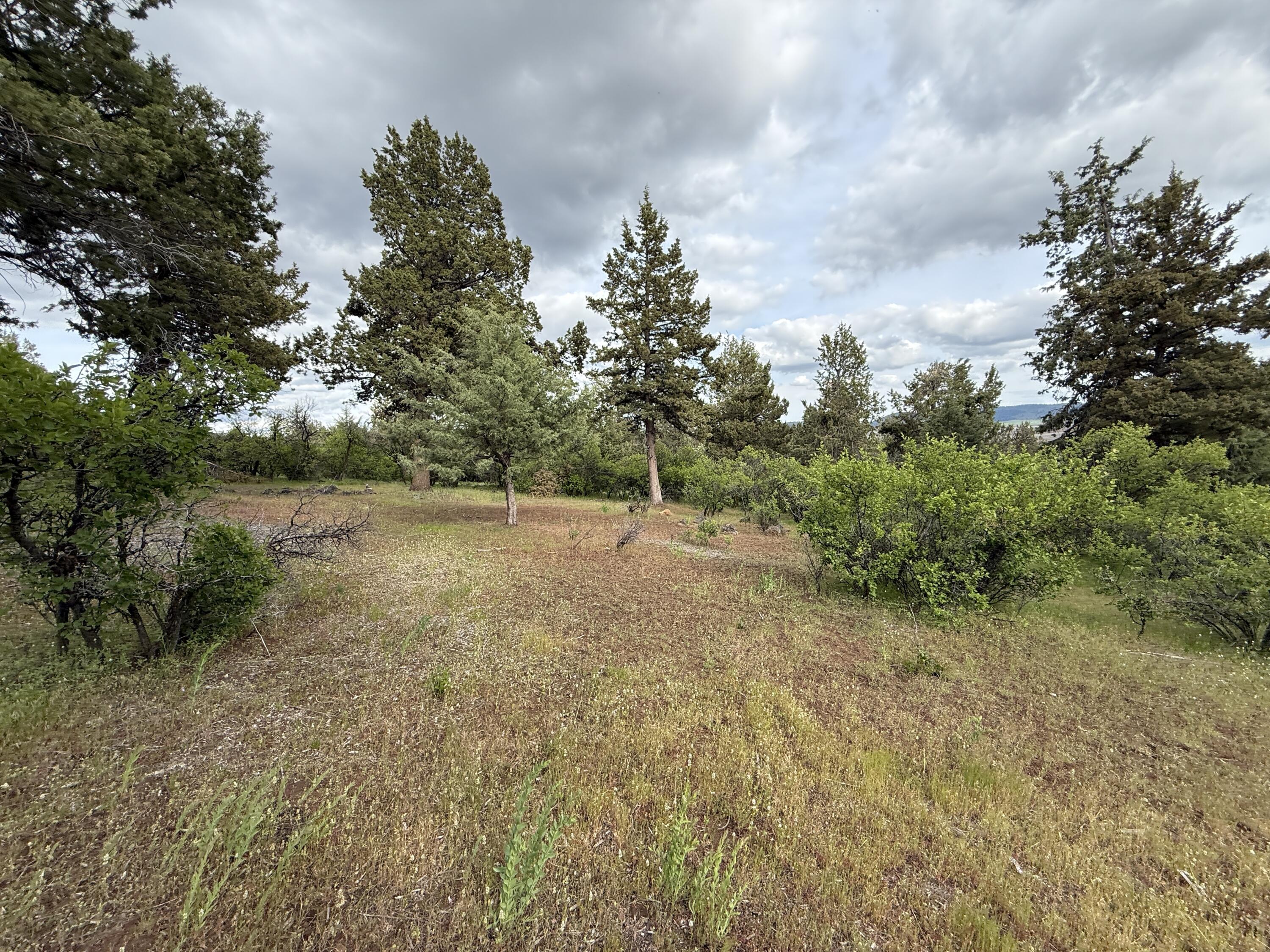 Running YResort - Land