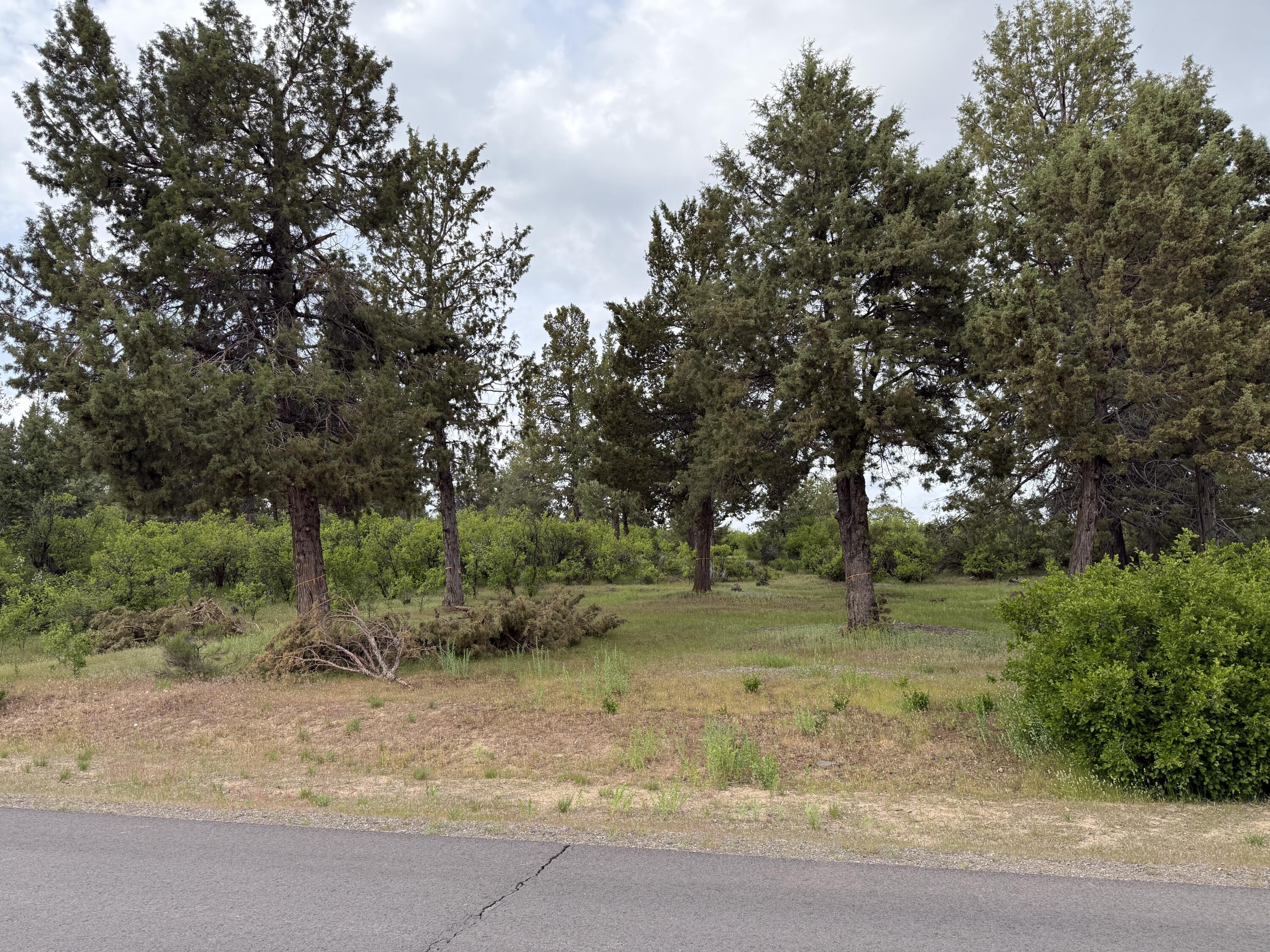 Running YResort - Land