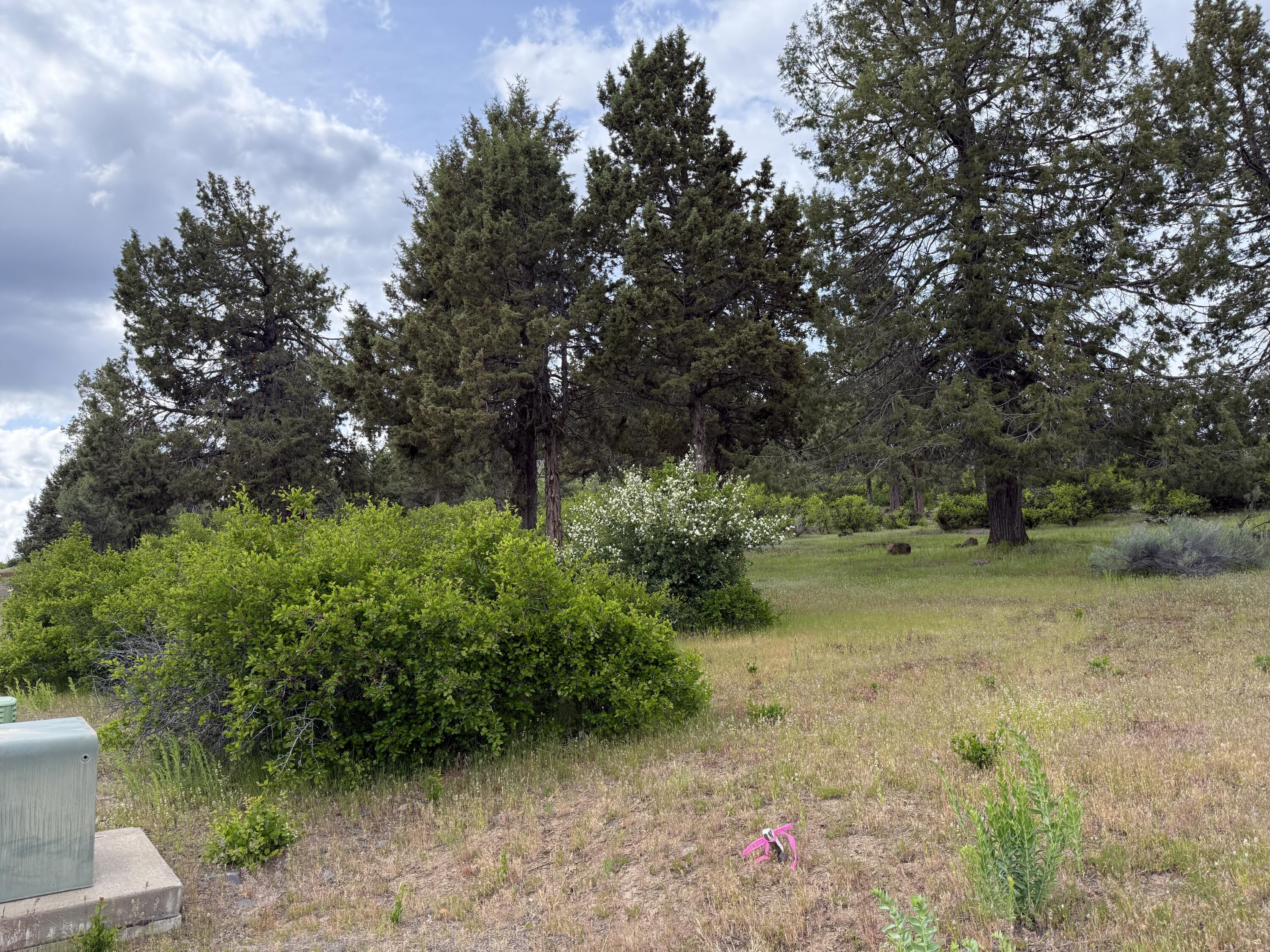 Running YResort - Land