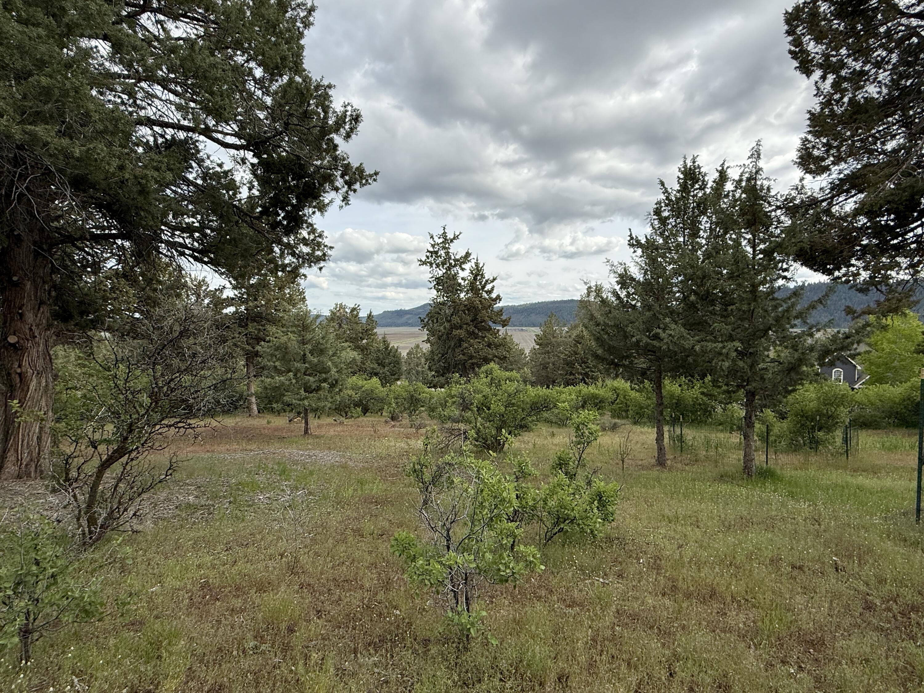 Running YResort - Land