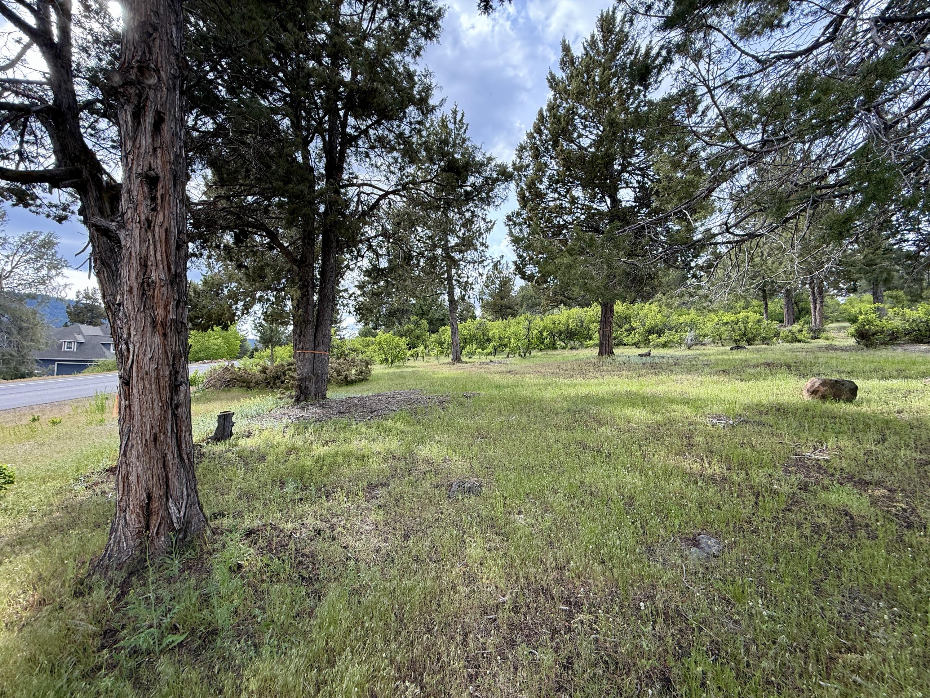 Running YResort - Land