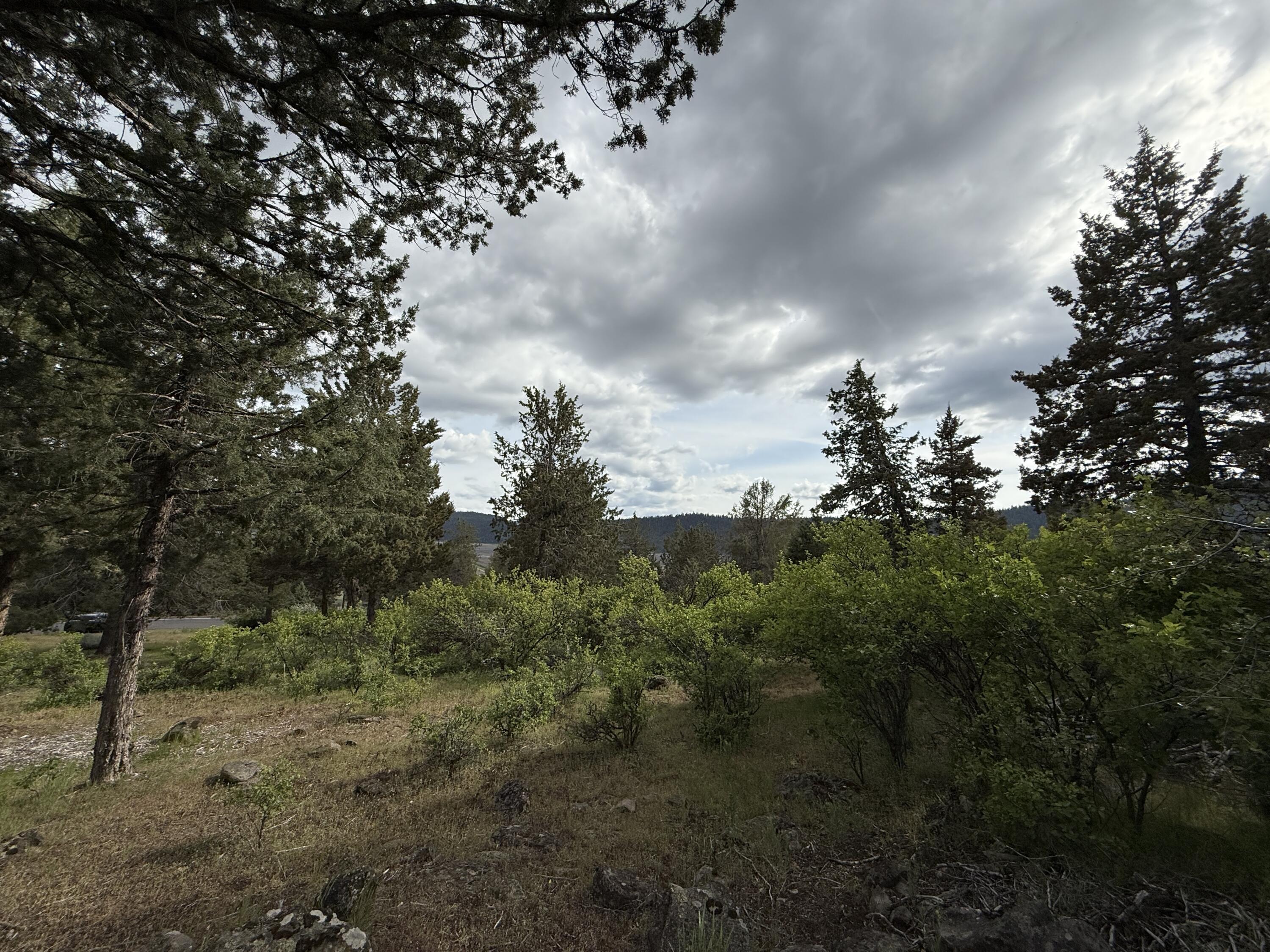 Running YResort - Land