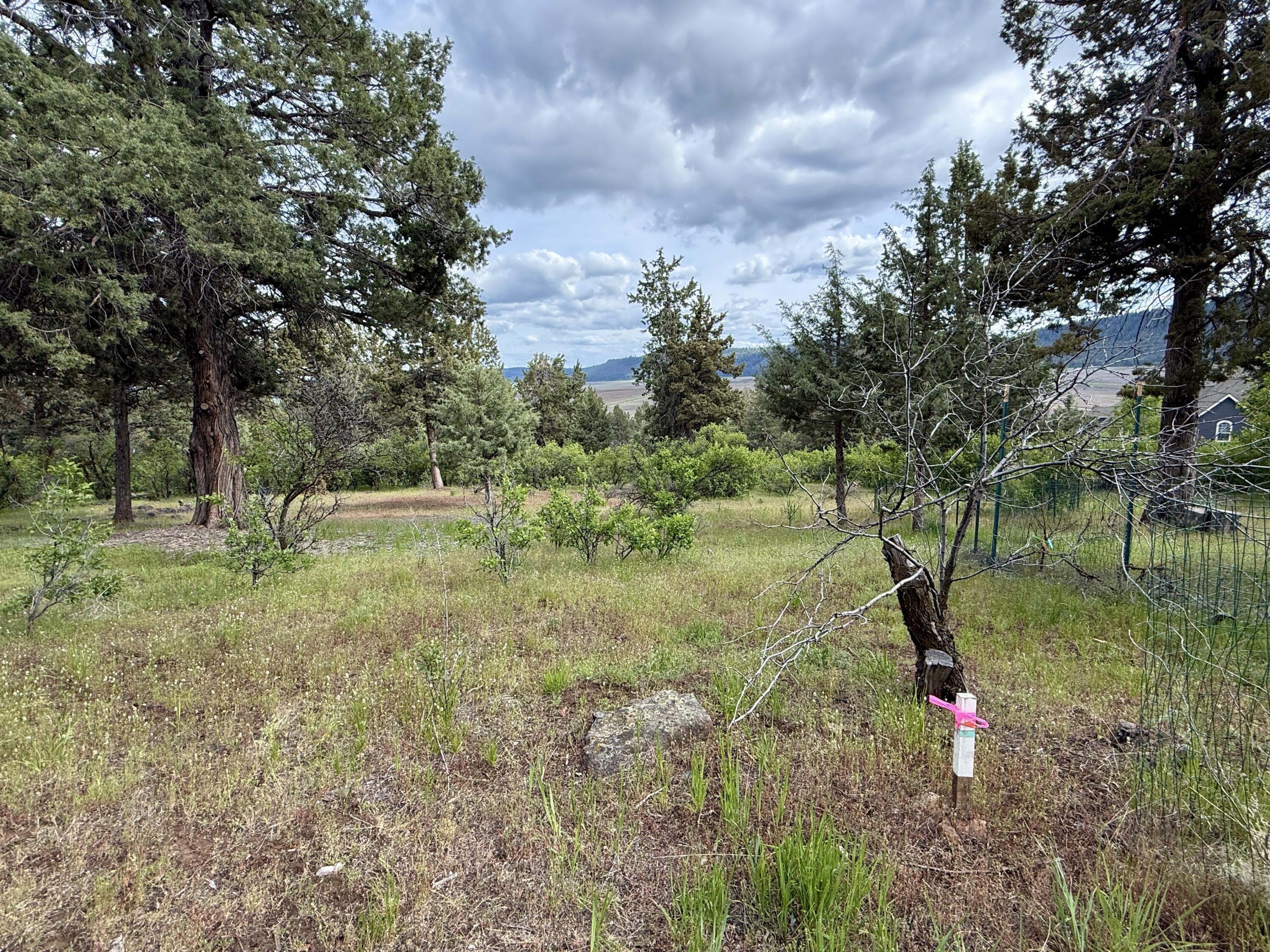 Running YResort - Land