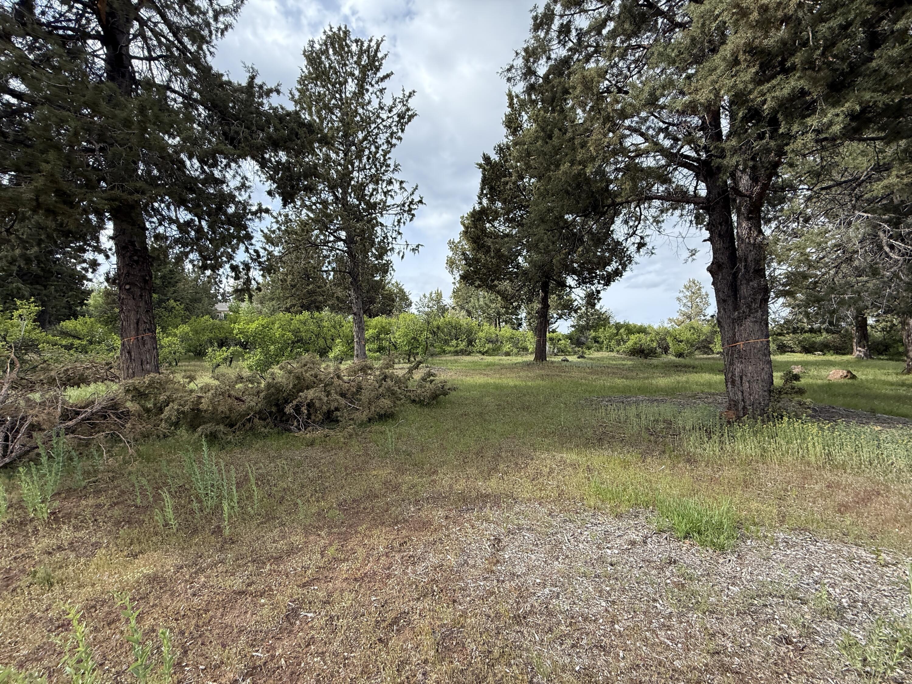 Running YResort - Land