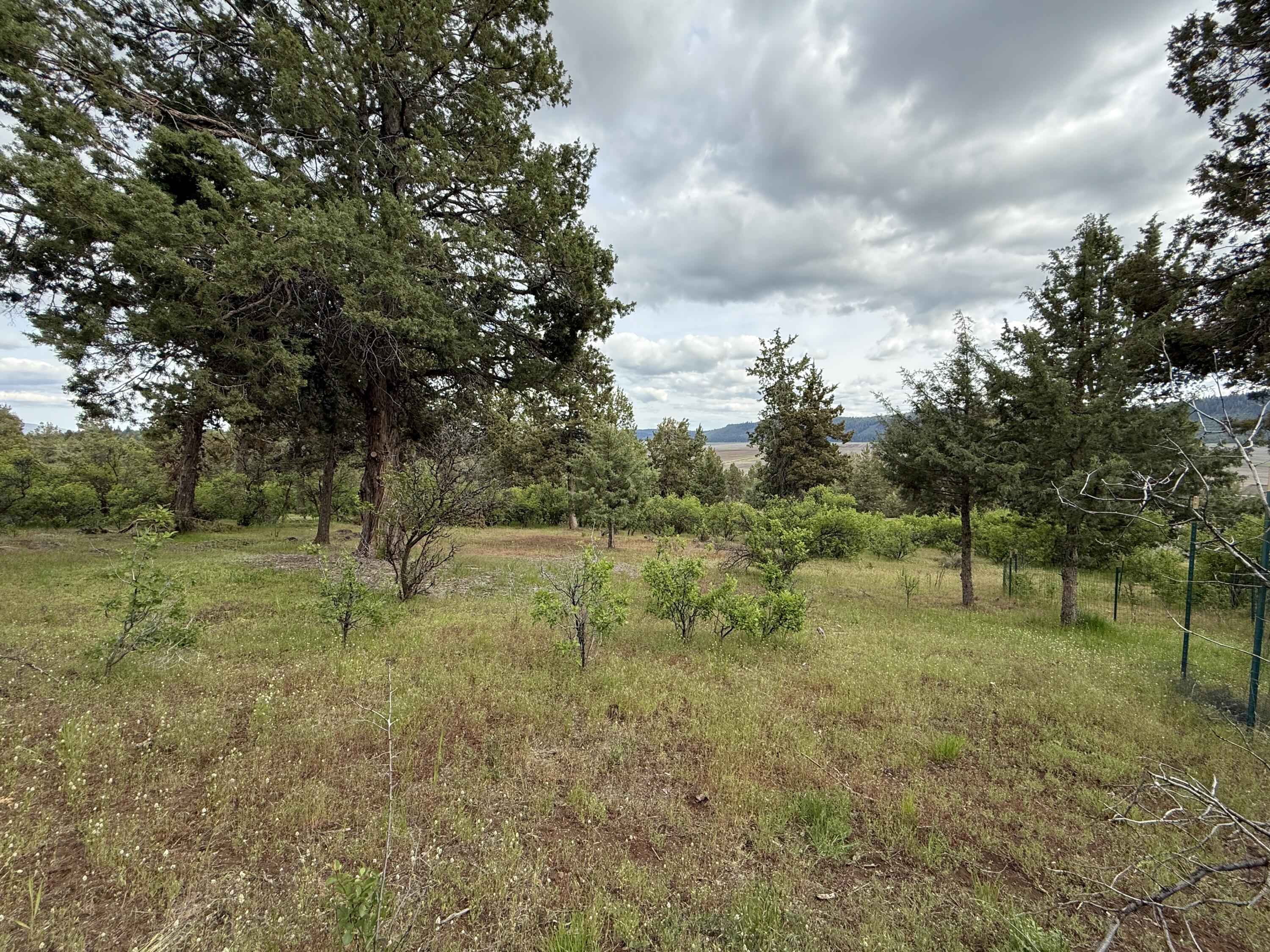 Running YResort - Land