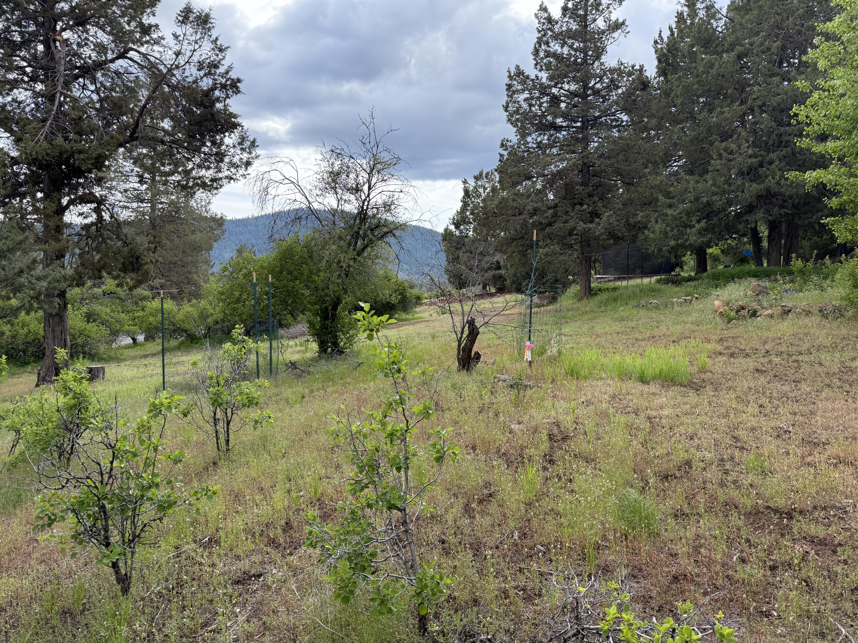 Running YResort - Land