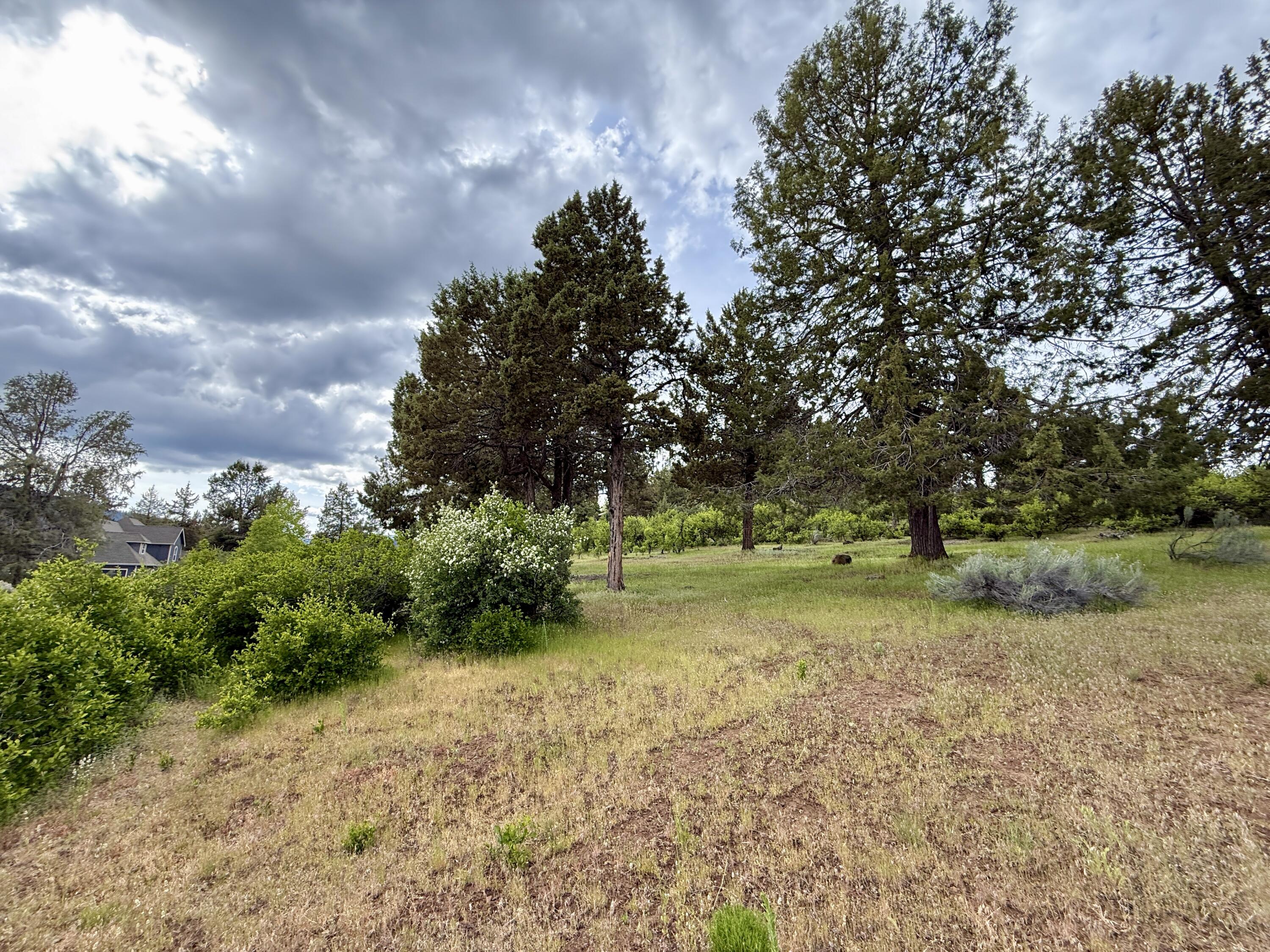 Running YResort - Land